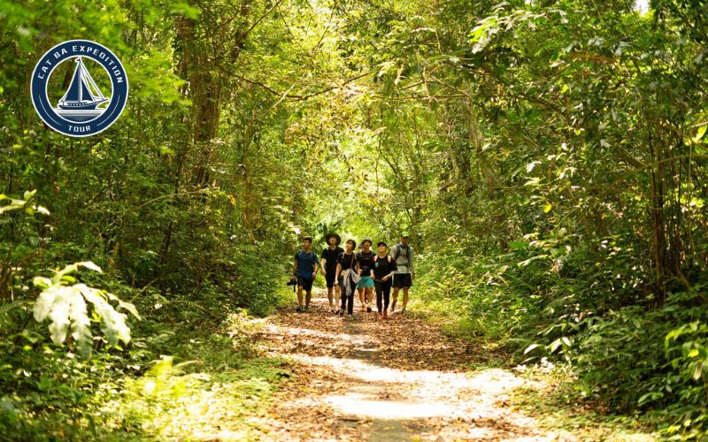 What To Expect A Full Day Cat Ba Trekking Experience