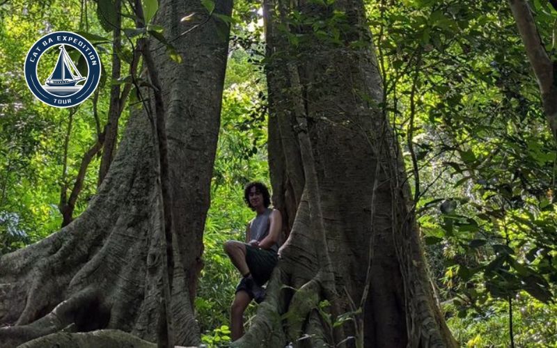 Book Cat Ba Trekking Tour Cat Ba Expedition