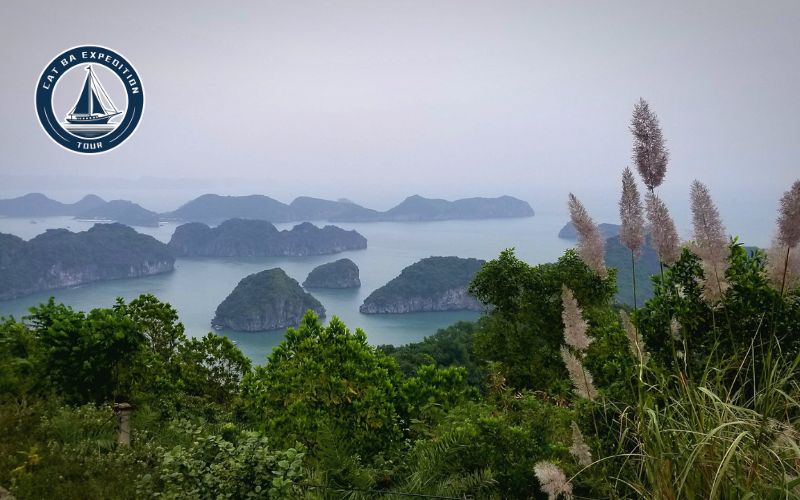 Best Viewpoint In Cat Ba