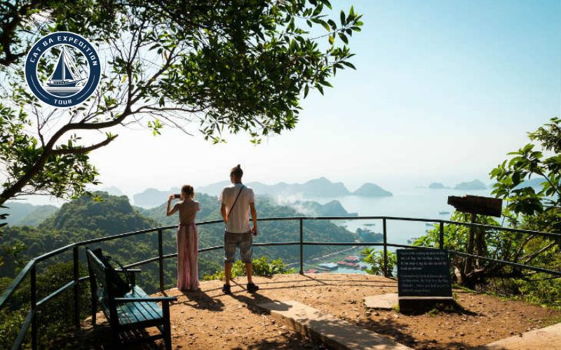 Visiting The Best Viewpoint In Cat Ba With Cat Ba Expedition