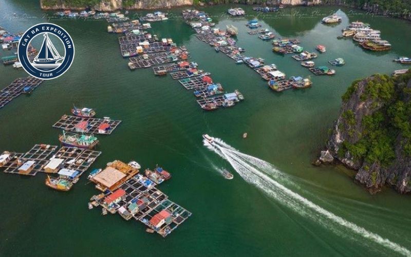 What To Do In Cat Ba During Tet With Cat Ba Expedition