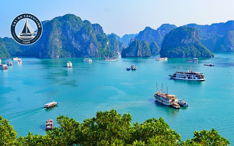Is Lan Ha Bay Open During Tet?