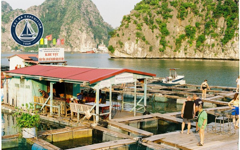 What You Can Do In Lan Ha Bay During Tet