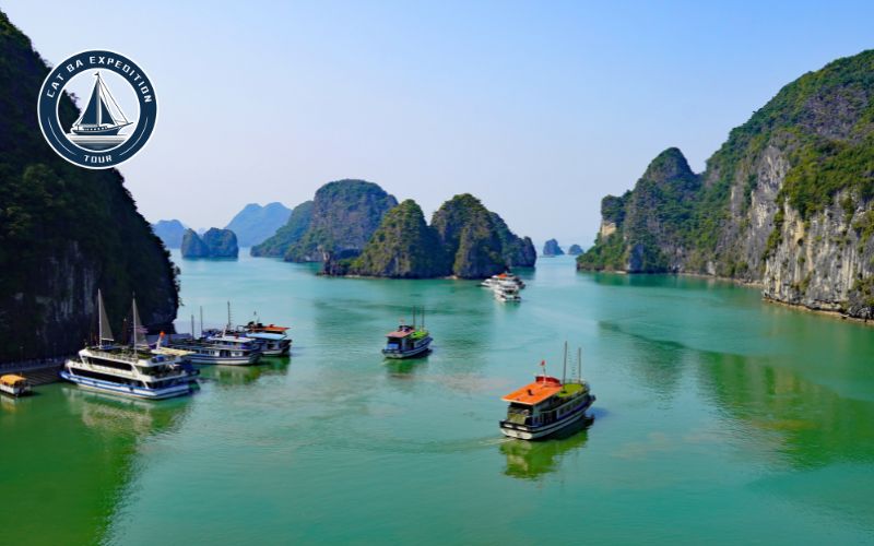 How To Plan Lan Ha Bay Trip During Tet
