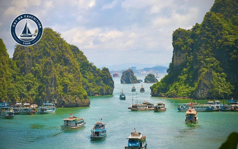 Visiting Lan Ha Bay During Tet With Cat Ba Expedition