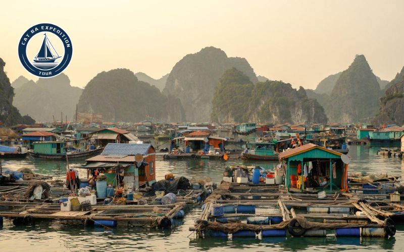 Cai Beo Floating Village