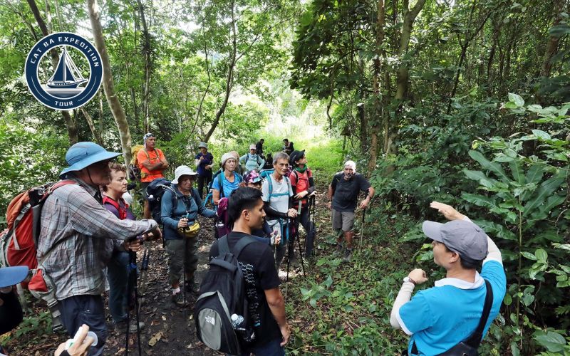 Kim Giao Forest Cat Ba Trek With Cat Ba Expedition