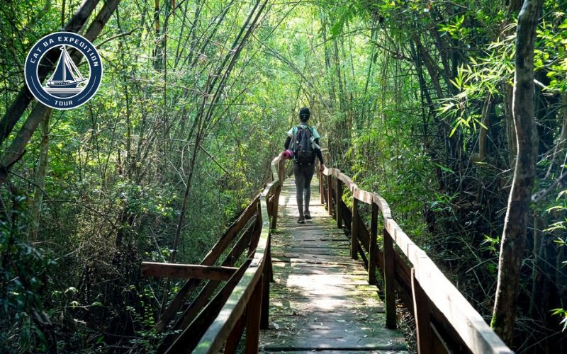 Why Choose This Trek?