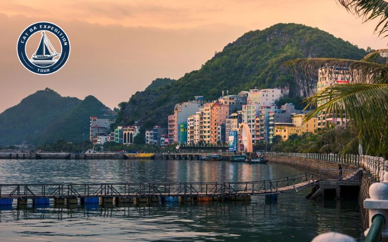 Why Cat Ba Town Is Perfect for Day Activities