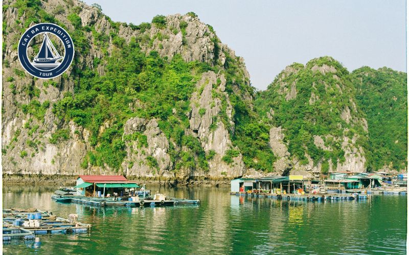 Tips for Booking a Lan Ha Bay Budget Cruise