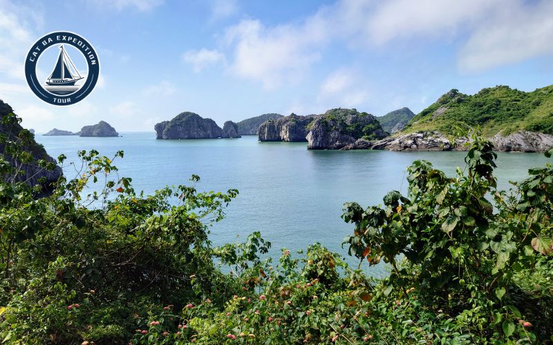 Best Things to Do on Cat Ba Island in March