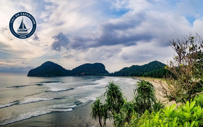 Travel Tips for Visiting Cat Ba Island in March