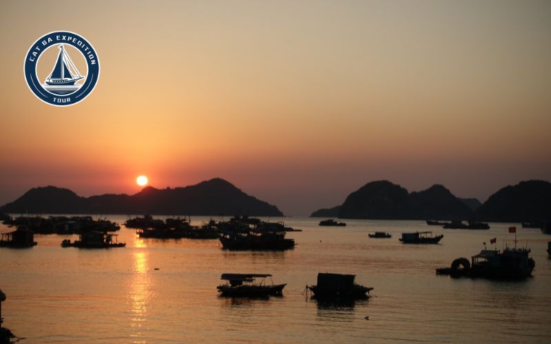 Why Choose a Cat Ba Day Tour in March