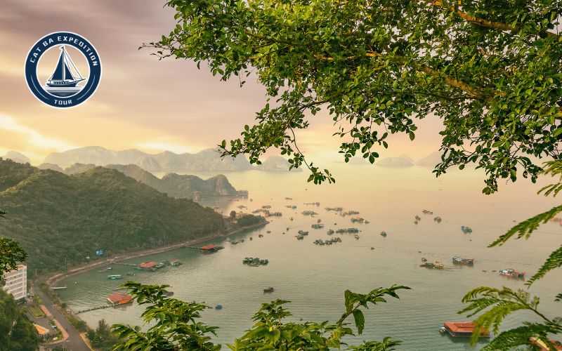 Cat Ba Travel Budget