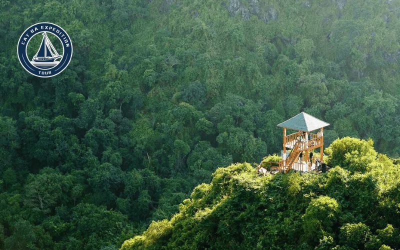 Tips for Cat Ba Trekking in March