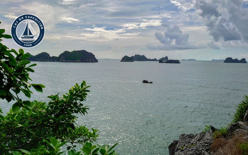 lan ha bay tour company