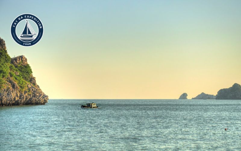 lan ha bay tour company