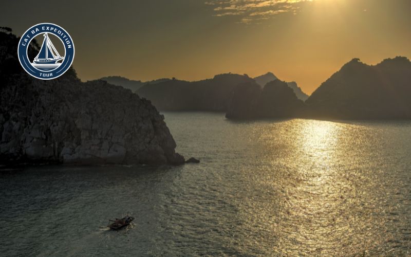 lan ha bay tour company