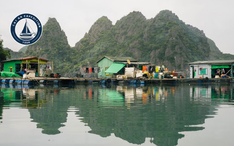 Cai Beo Floating Fishing Village
