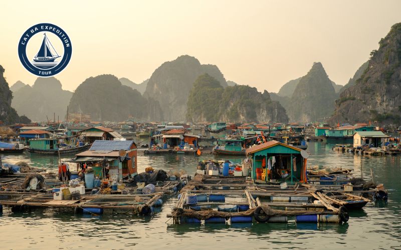 Cai Beo Floating Fishing Village